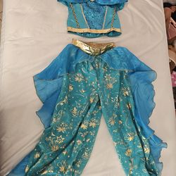 Jasmine Costume/Princess Outfit