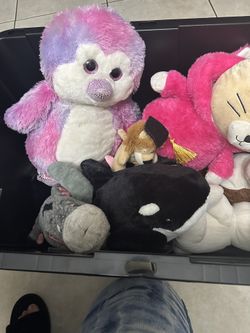 Stuffed Animals