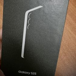 Samsung Galaxy S25