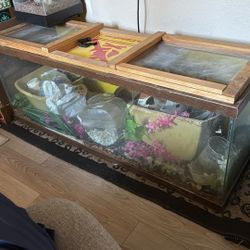 Fish Tank/ Terrarium