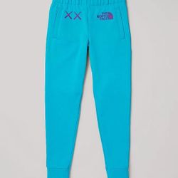 Kaws X The North Face/Youth Sweatpant Size L