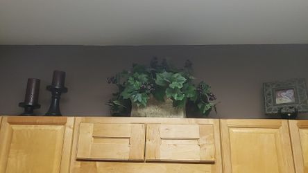 All for $40 / candles .. plant .. picture