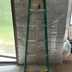 Ladder 6 Feet 
