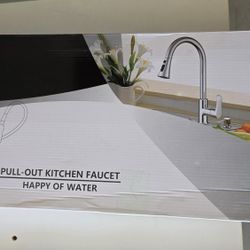 New Kitchen Sink Pullout Faucet