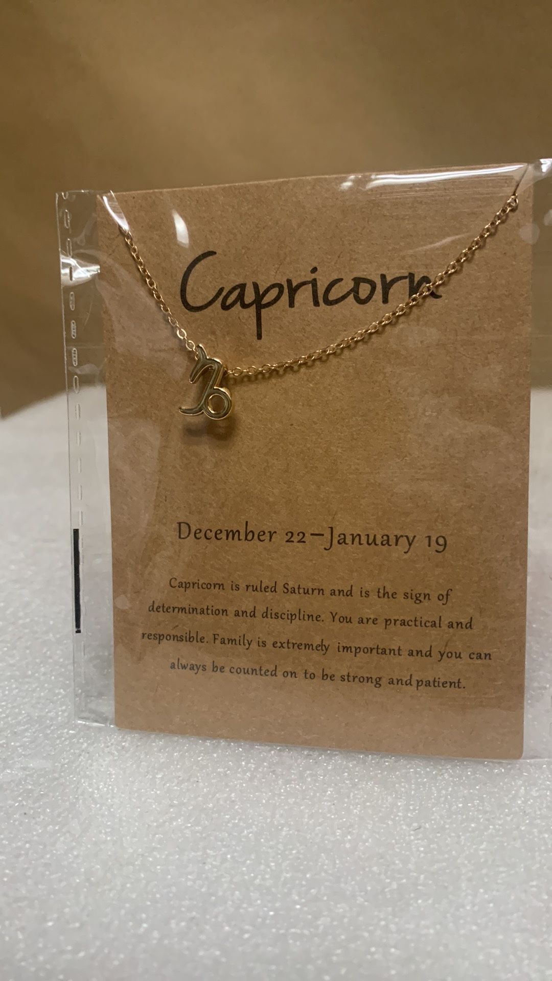 Capricorn Zodiac Sign Choker Horoscope Necklace
