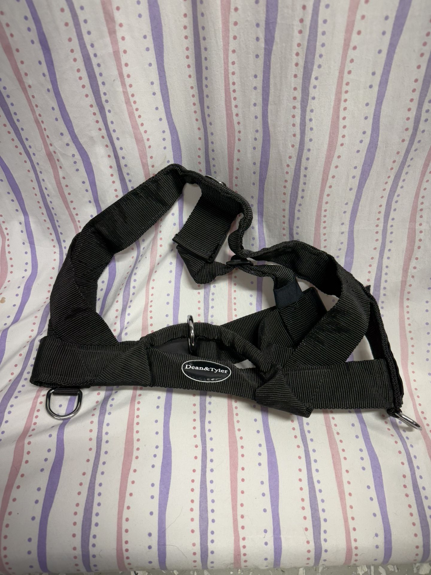 Dean And Tyler DT Universal Dog Harness XL