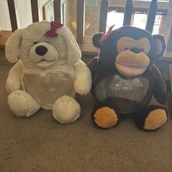 Bear Fish Tanks Or Put Candy In Them 