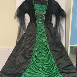 Halloween costume. Like New