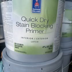 Paint