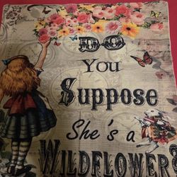 16” by 16” Alice in Wonderland pillow case