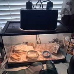 Tank lights accessories