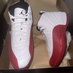 Brand New Men Air Jordan Retro 12 Cherry 