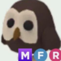 Mfr owl