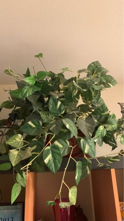 Planta artificial