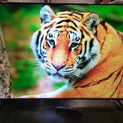 55" 4k UHD HDR Smart QLED  Model 2023