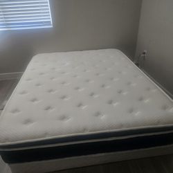 $150 Queen Bed Mattress And Box Spring