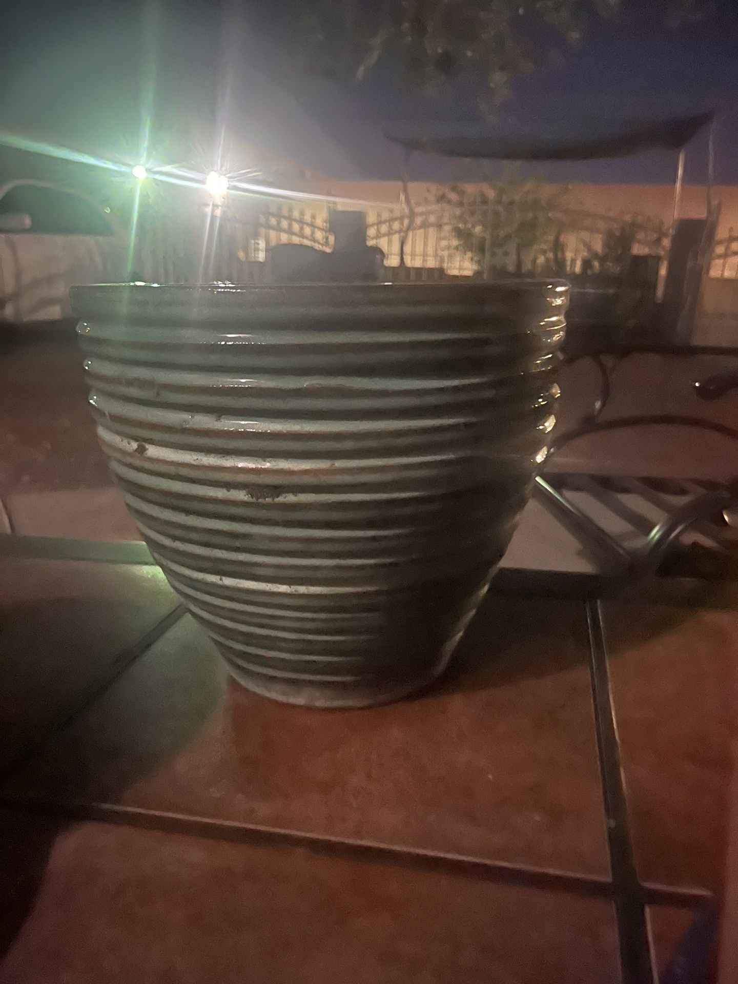 Pot Plants