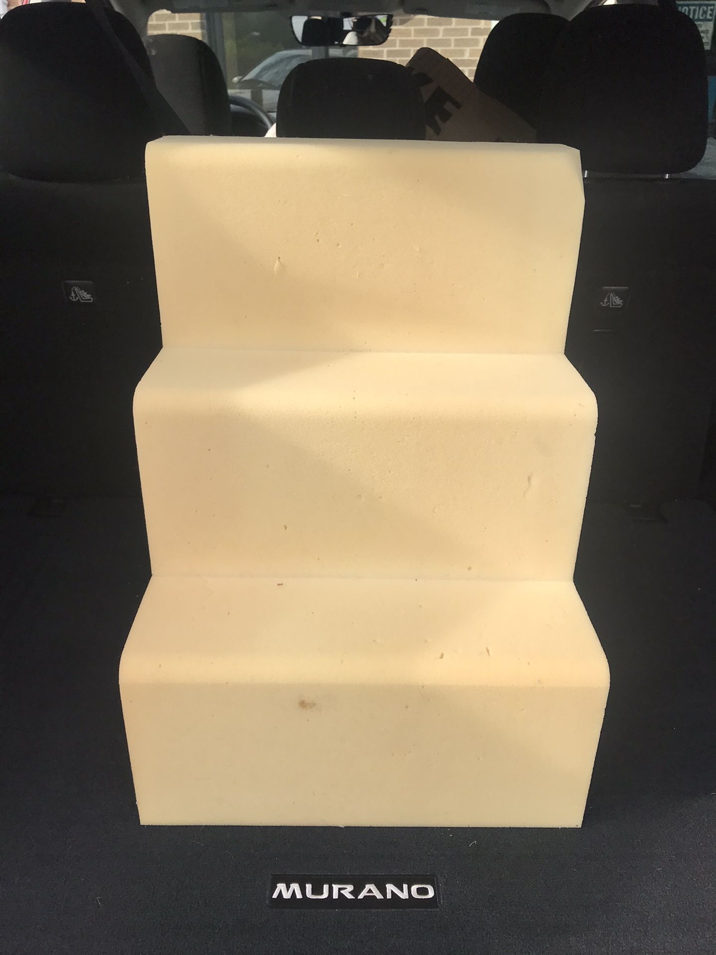 Dog Stairs 🐶🐩🐕Needs Cover Only. Available NOW!!!