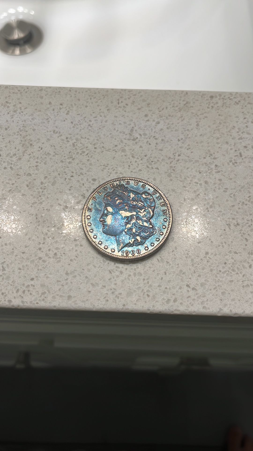 Excellent Condition NATURAL TONE 1900 MORGAN DOLLAR