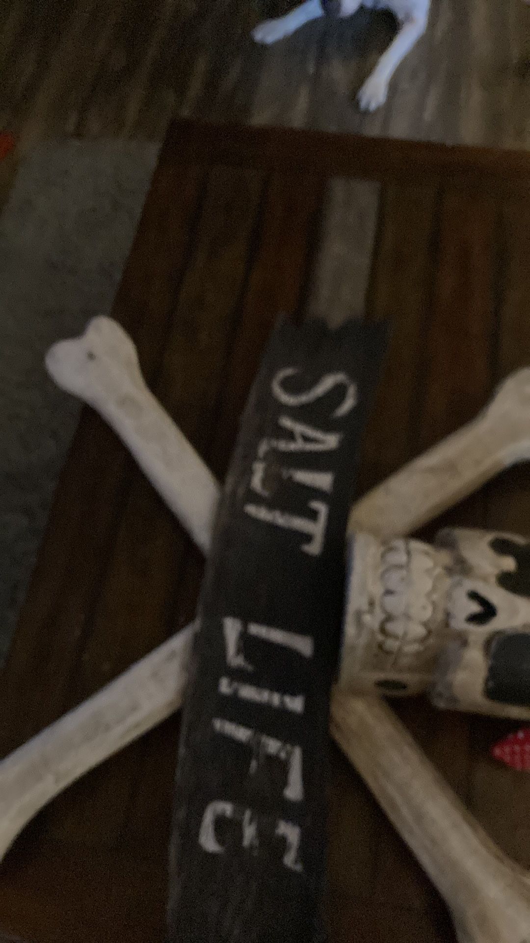 Sea life skull