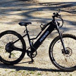 2022 Pedego Ridge Rider