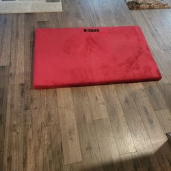 Large Dog Mat