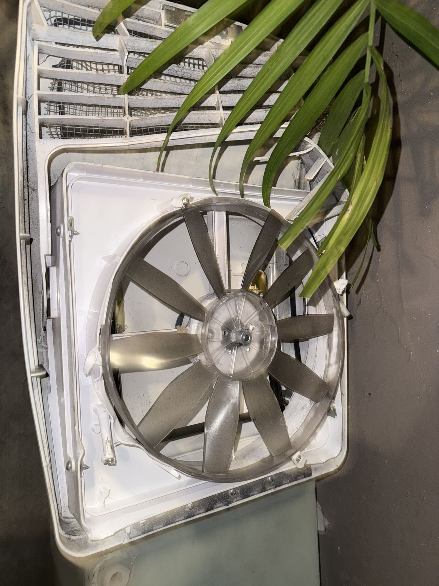 Rv Trailer