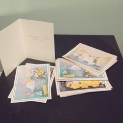 Kitten Greeting Cards