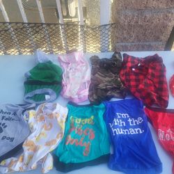 Dog Clothes