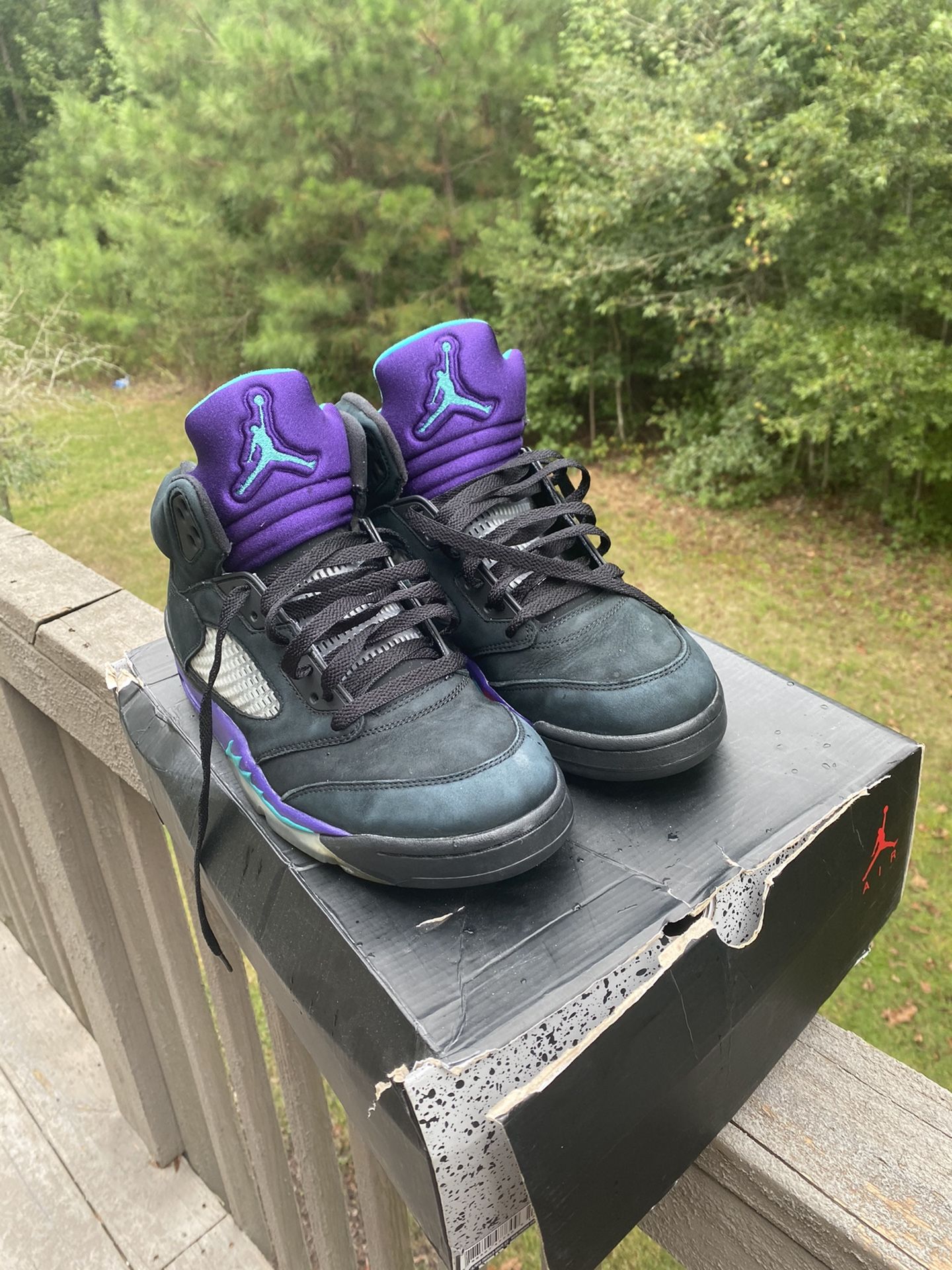 Air Jordan 5 Retro Black Grape