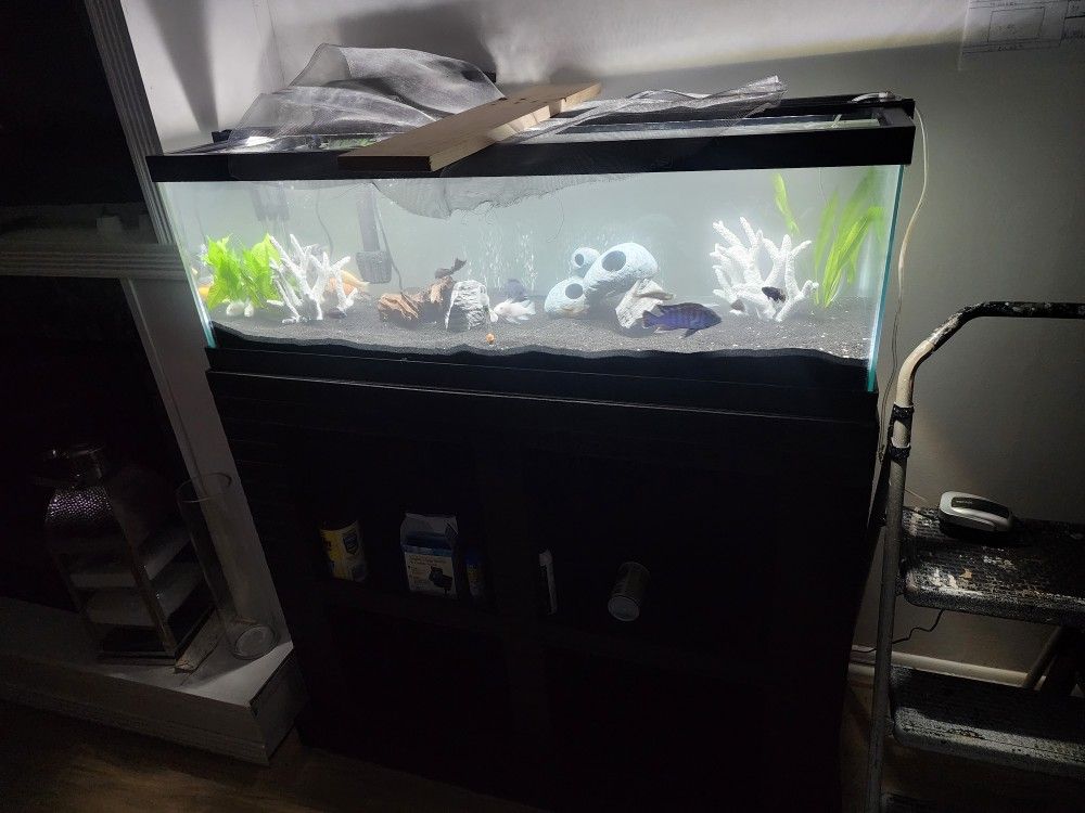 Fish Tank
