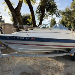 Bay Liner Classic 