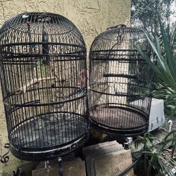 Cages $200.00 EACH, CASH TEXT FOR PRICES. 