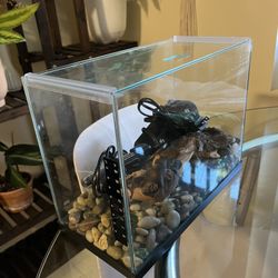 2.5 Gallon Tank With Filter And Heater 