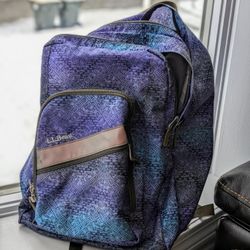 L. L. Bean Backpack