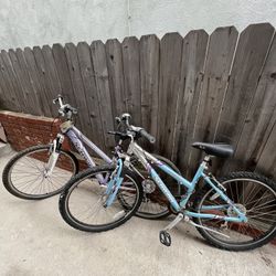Pair Of Schwinn Bikes 
