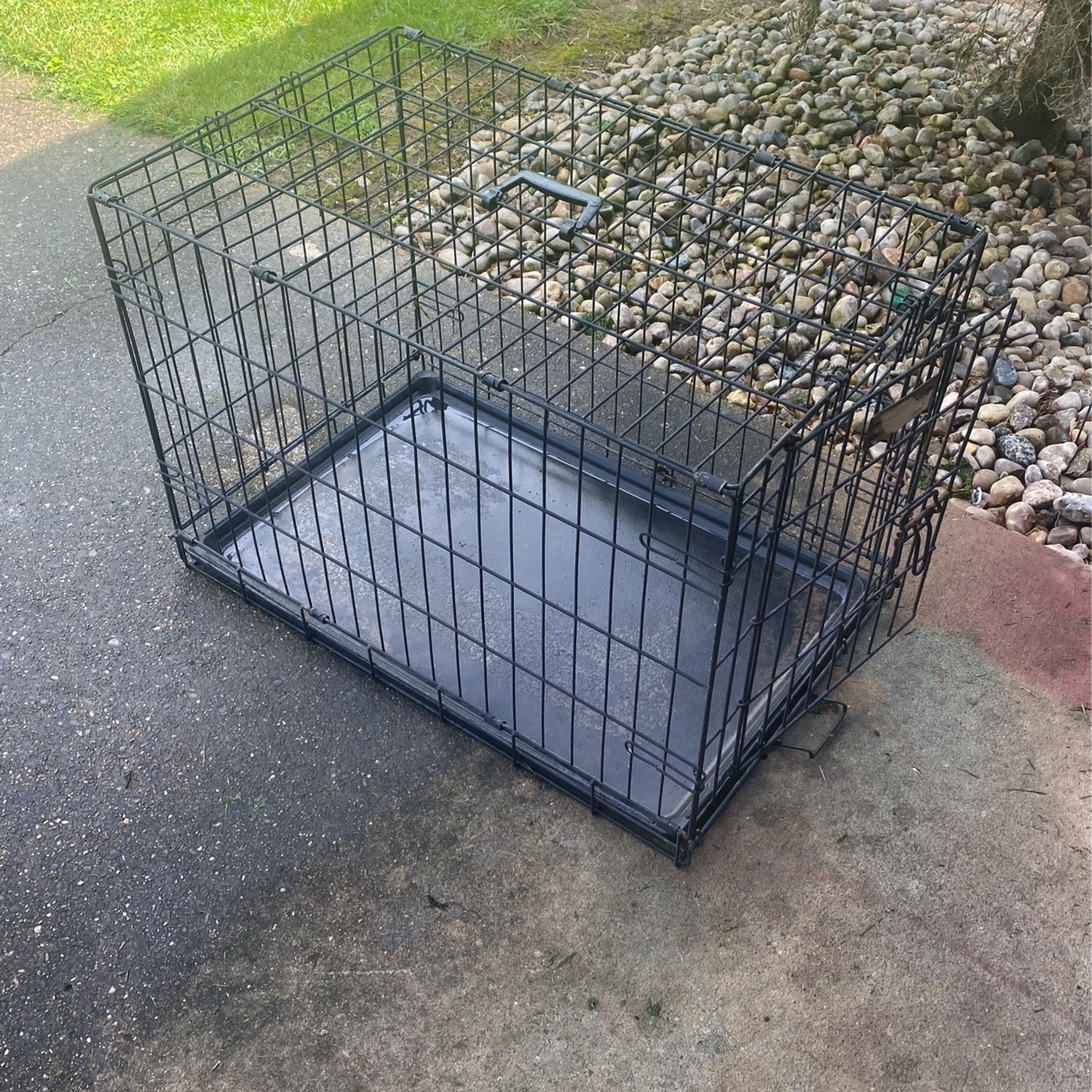 Dog Crate