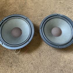 10 Inch Speakers