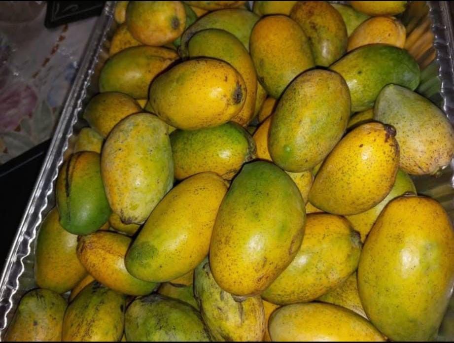 Haitian Mangoes