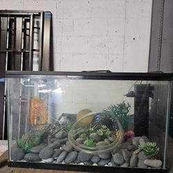 29 Gallon Fish Tank w/accessories