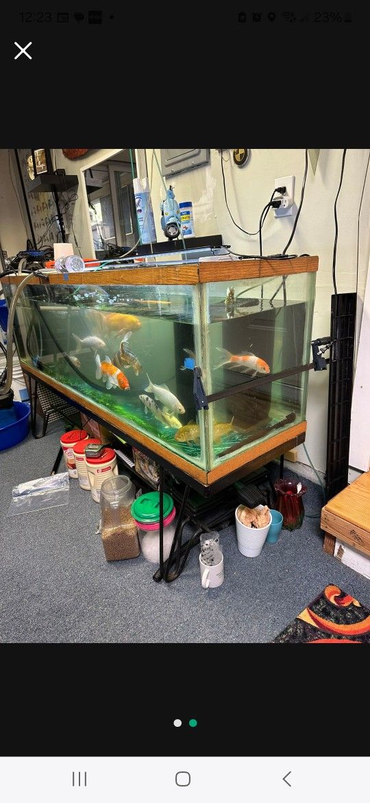 95 Gallon Fish Tank
