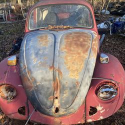 1973 Vw Beetle  Shell