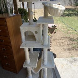 Beautiful Cat Tree