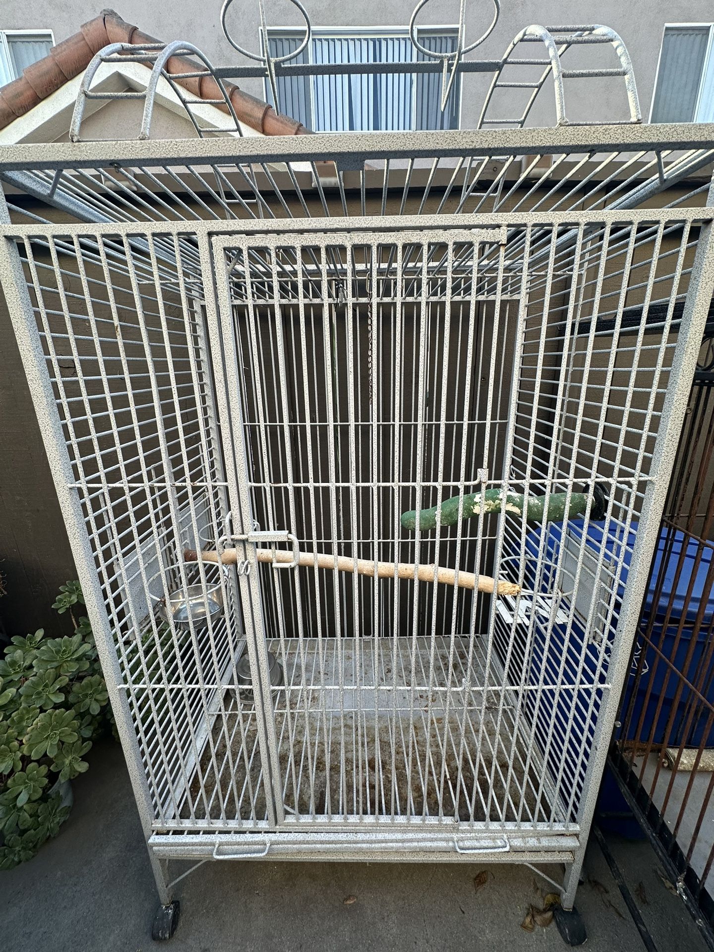 Big Parrot Cage