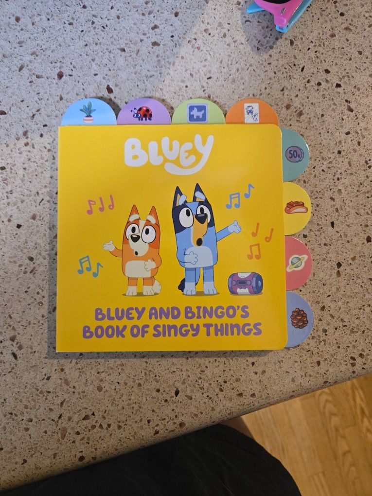 Bluey And Bingo Book