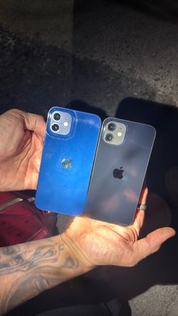 iPhone 13 black and blue