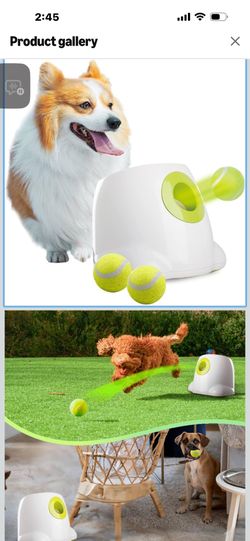 For dogs