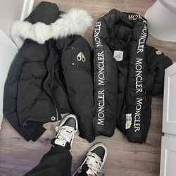 Moose And Moncler 