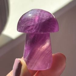 Purple Fluorite 🍄