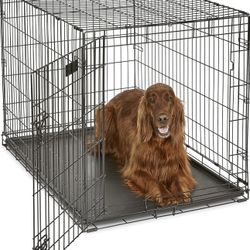 Dog Crate